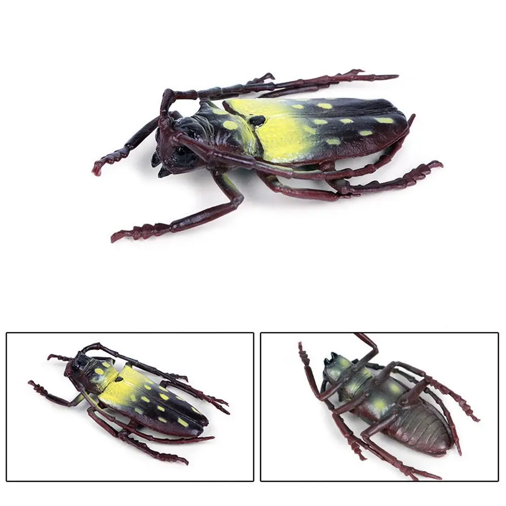 Realistic Insect Animals Model Wild Insect Science Beetle Action Figures Dynastes Education Lifelike Insect Figurines Collection