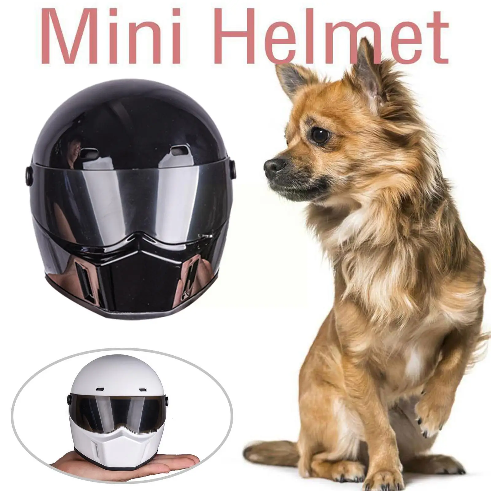 Cão Capacete Pet Capacetes Cat Capacete Ao Ar Livre Mini Cabeça Protegendo Adereços Acessorie Foto Capacete Chapéu Motocicleta Seguro Pet Decora J0S8