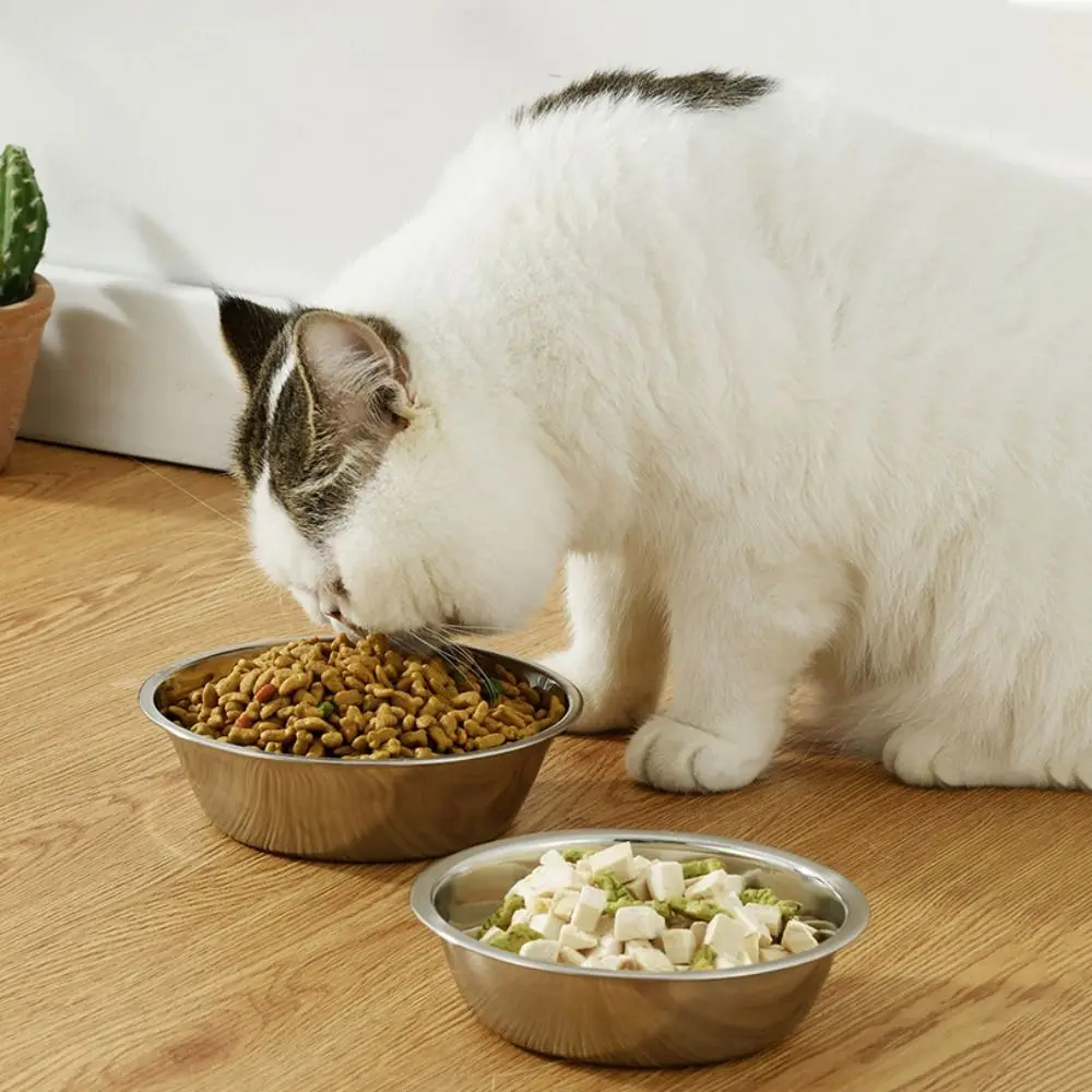 Pet Supplies Large Capacity Dog Bowl Stainless Steel Silver Cat Feeder Non-rust Cat Water Feeder Bowls Indoor