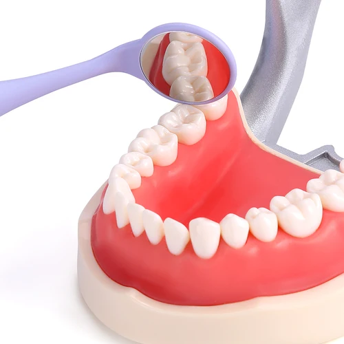 Imagen 2 del producto 10 unids/caja espejos bucales de doble cara Autoclavable superficie frontal Premium Reflector de examen bucal espejo Oral blanqueamiento dental