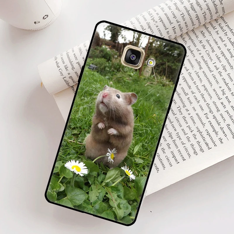 Hamster Guinea Pig Case For Samsung Galaxy J3 J5 J7 2017 J1 A3 A5 2016 J4 J6 Plus A6 A7 A8 A9 J8 2018 Cover