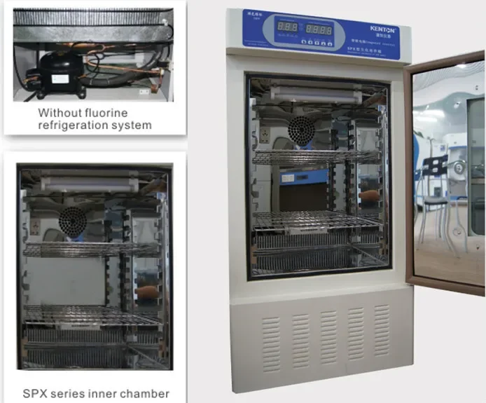 Laboratory Seed Germination Biochemical Incubators With Stainless Steel