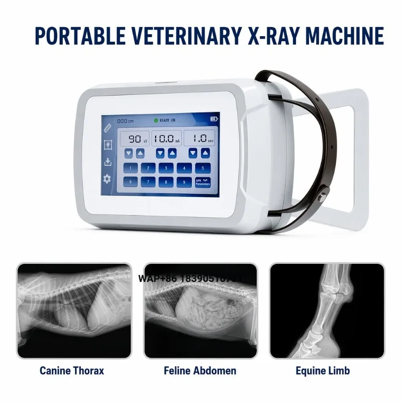 The veterinary clinic uses a portable handheld X-ray machine for high-resolution digital imaging for small animal pet hospital d