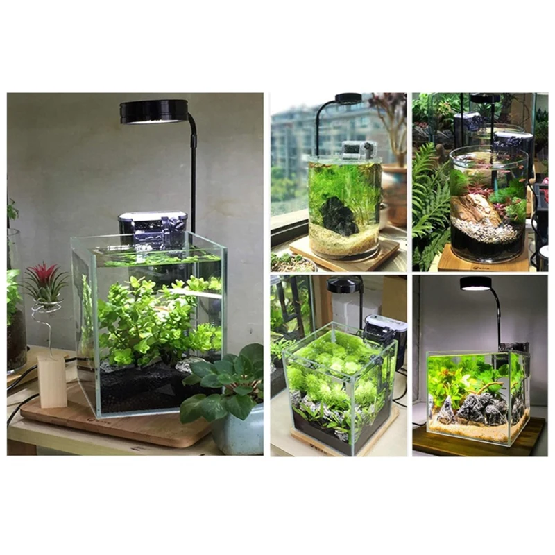 BAAG-LED Luce per acquario con lampada base in bambù per acquari Piante in vaso Piante grasse Paesaggio in miniatura Spina americana