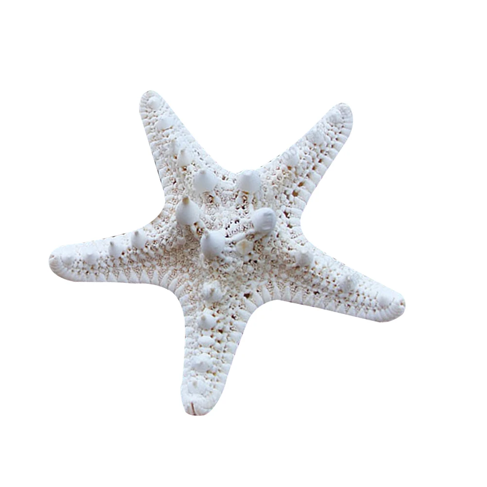

2 Pcs Decorations Ocean Accessories Home Room Sea Animal Decorative Seaside Ornaments Themed Party Artificial
