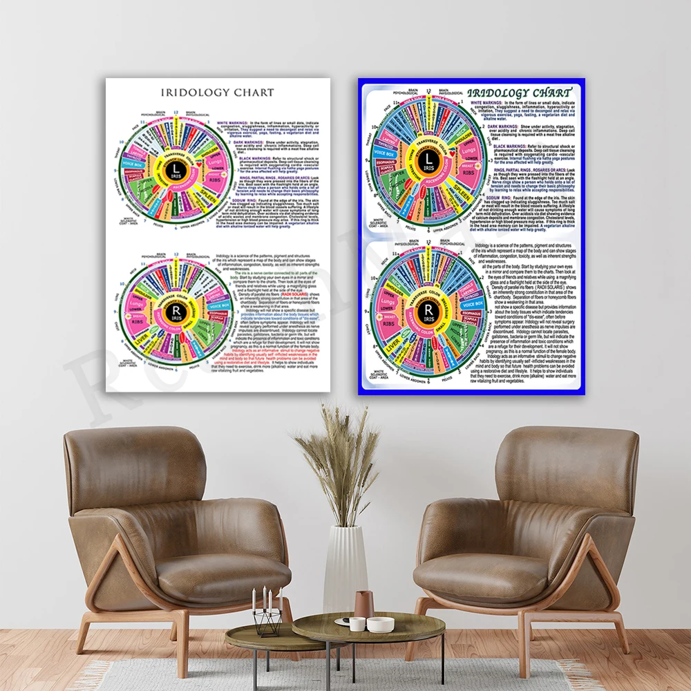 Iridology chart art ophthalmologist poster for health assessment by reading iris pattern in eye