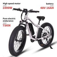 Electric Bike  1000W 48V 16A Mountain e Bicycle Fat Tire ebike Adults Mens 26 Inch 21Speed Aluminum Frame RX02