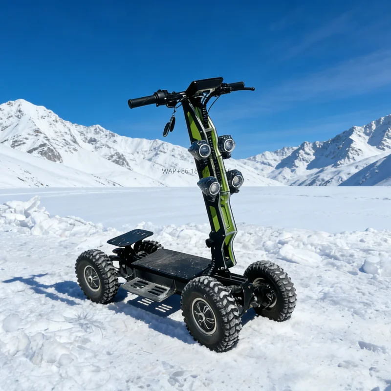 

Off-road Vehicle Snowmobile 4x4 40AH Tilt Body Electric Scooter All Terrain Golf Cart