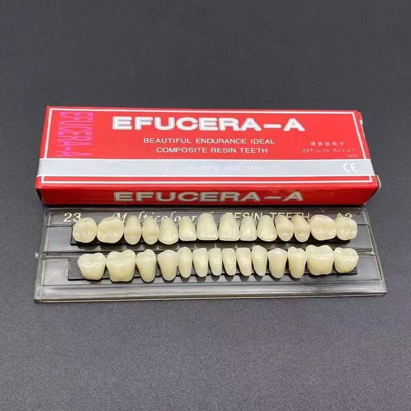

Dental Education Model 28teeth Resin Denture Teeth Comparator Mirror Dentistry Bleaching Dental Plate Research