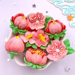 10PCS Resin Colorful Big Peach Blossom Flower Flatback Stone Figurines Scrapbook DIY Bow Decor Accessories Jewelry making Crafts