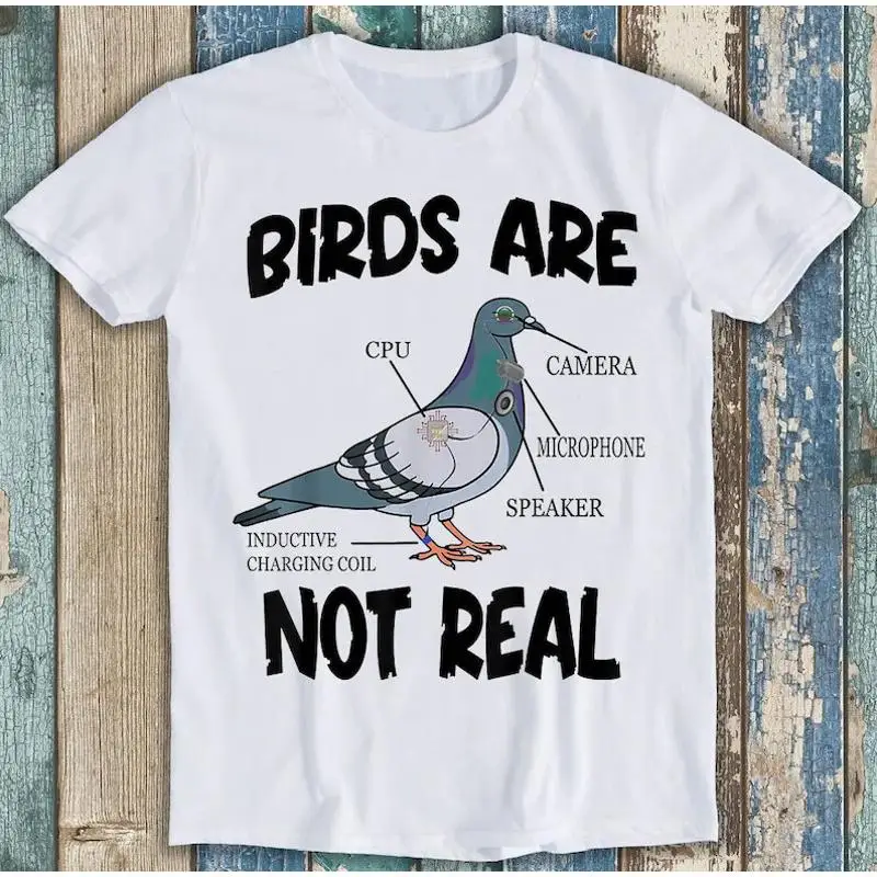 

Pigeon Birds Are Not Real Funny Bird Spies T Shirt M1587