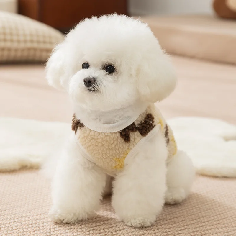 الخريف والشتاء الحيوانات الأليفة أفخم سترة الدب معطف شتاء تيدي القط اثنين الساق معطف كلب الملابس للكلاب الصغيرة جرو الملابس