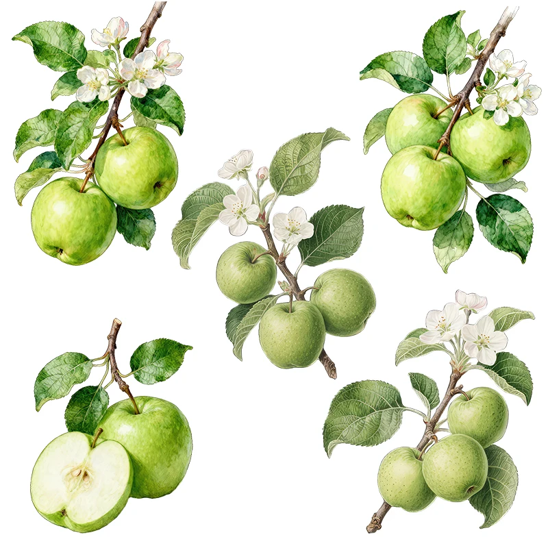 Three Ratels CFN126 Fresh Green Apple Art Wall Stickers for Home Decoration Kitchen Stickers Shop window decals