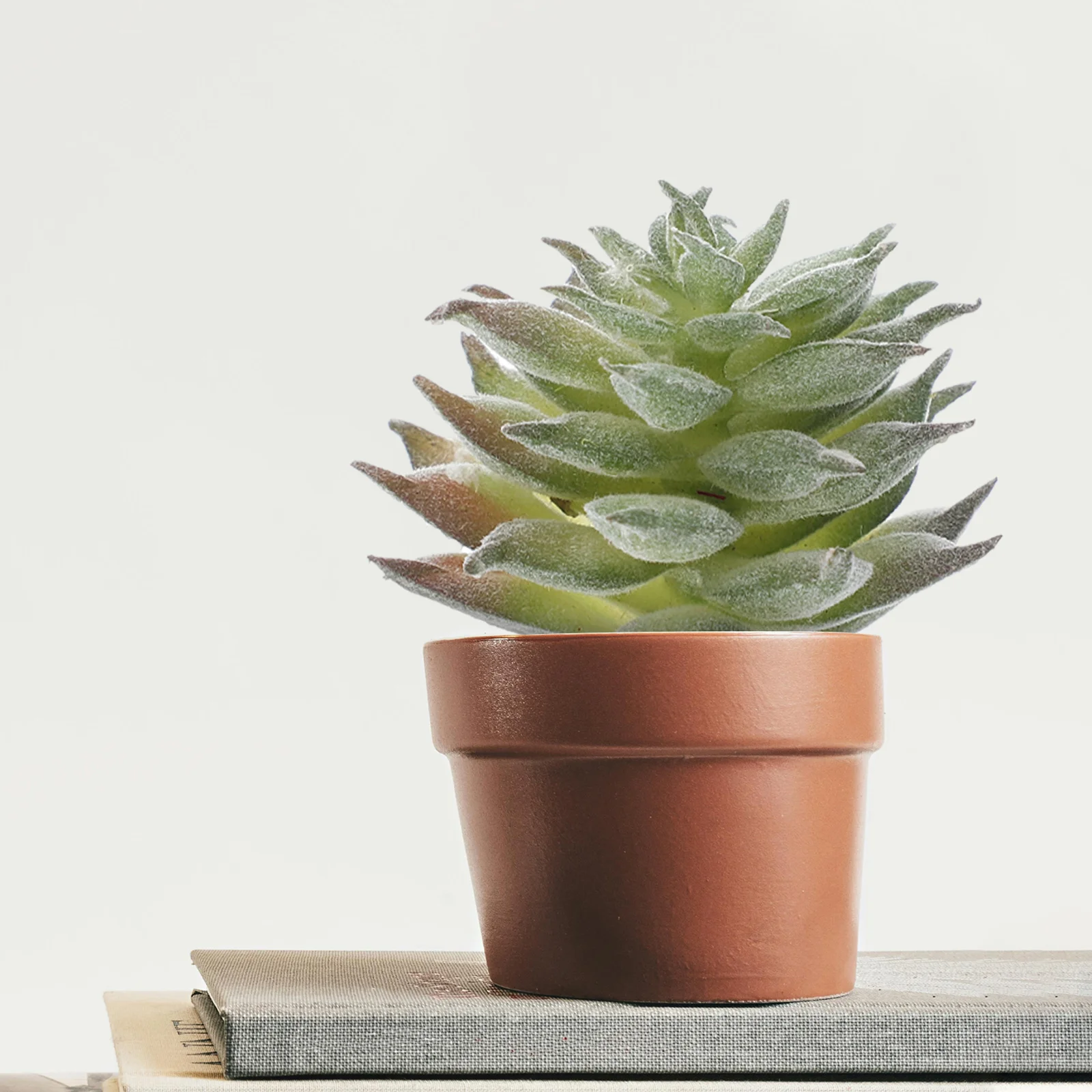 

6 Pcs Artificial Succulent Plants Realistic Faux Plastic Decor Lifelike nament for Home Office Hotel Garden Supplies Easy