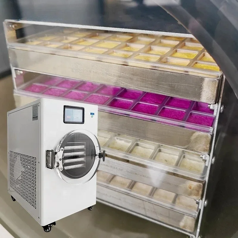 

Large Food Freeze Dryer 6kg 8kg 10kg 15kg 20kg Freeze Drying Thailand Instock