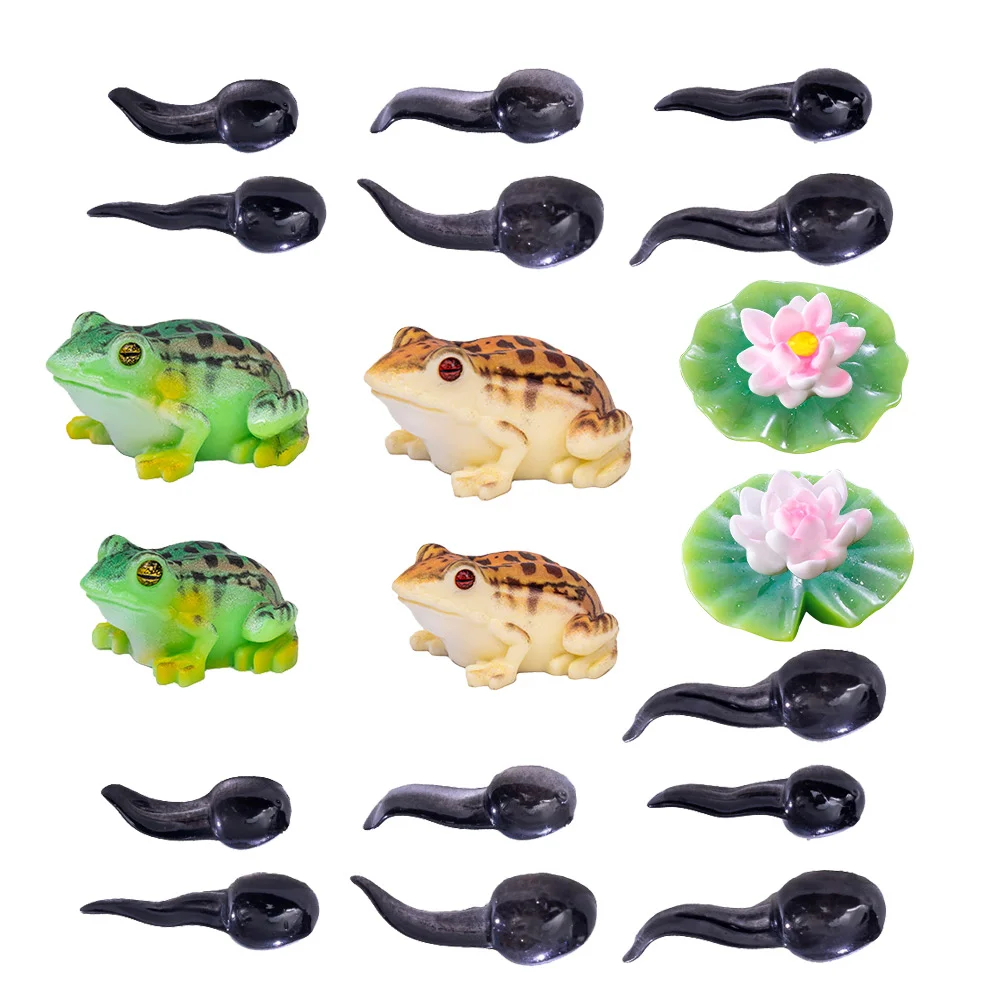 2 s Frogs Tadpoles Resin Figurines Realistic Mini Decor Aquarium Reptile Tank Garden Moss Landscape nament Set Tiny Statues