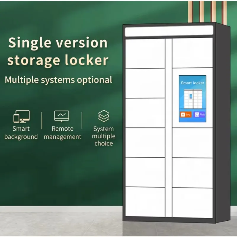 Customized Spa Locker Smart Shelf with Face Recognition Electronic Key Lock 24 Hour Self Service for Salon Wellness Center