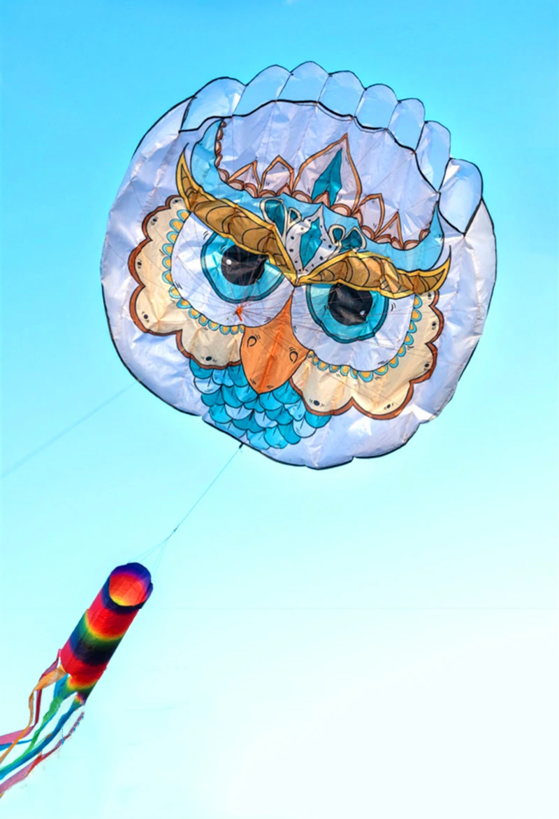 free shipping owl kite flying soft kite for adults kites line traditional kite professional kite flying dragon  ripstop kevlar