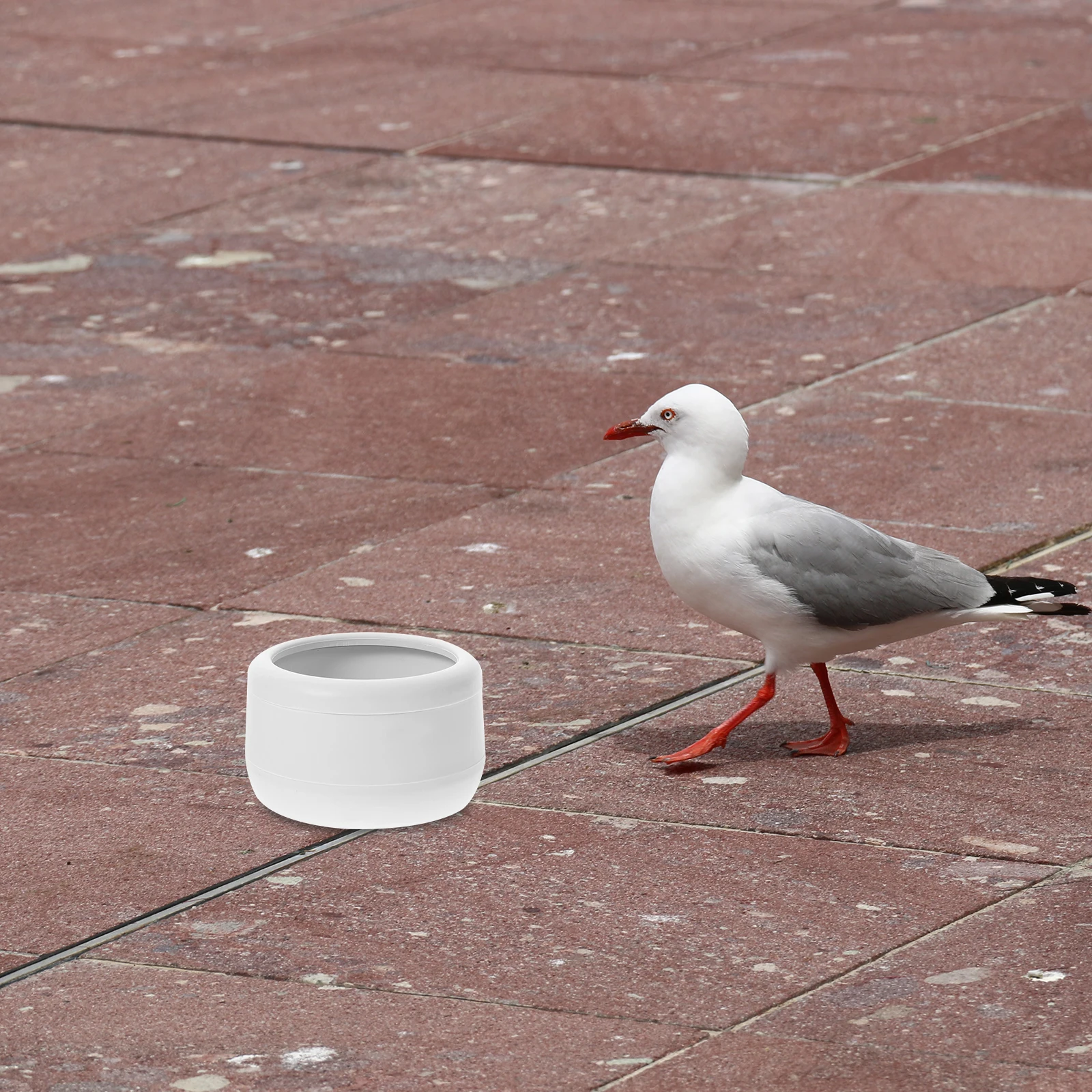 

3 Pcs Pigeon Feeding Box Pet Food Feeder Eating Bowl Creative Supply Plastic Holder Durable Birds