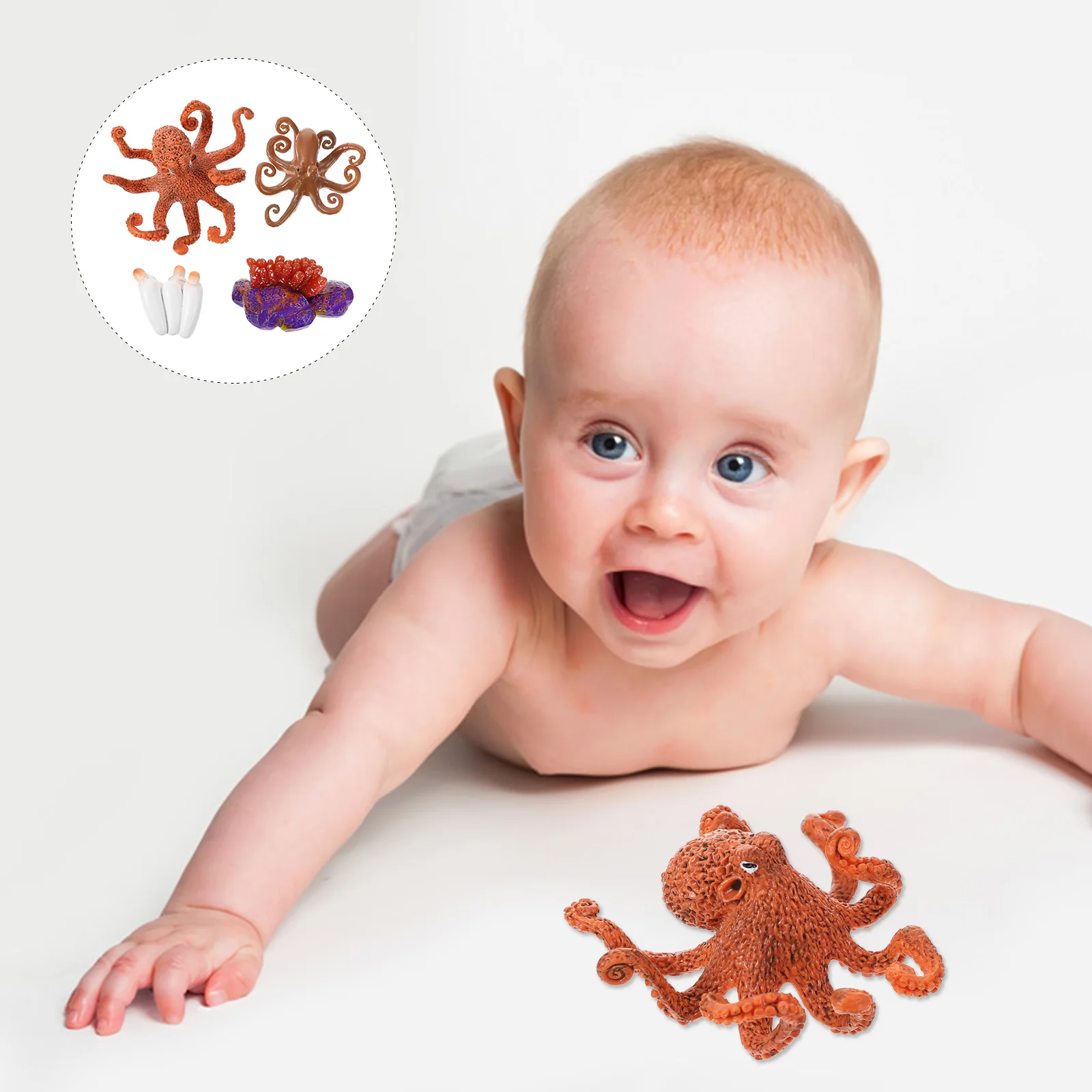 

Simulation Octopus Model Life Cycle Miniature Decor Home Hotel Display Prop Photoshoot Education Toy Figurine