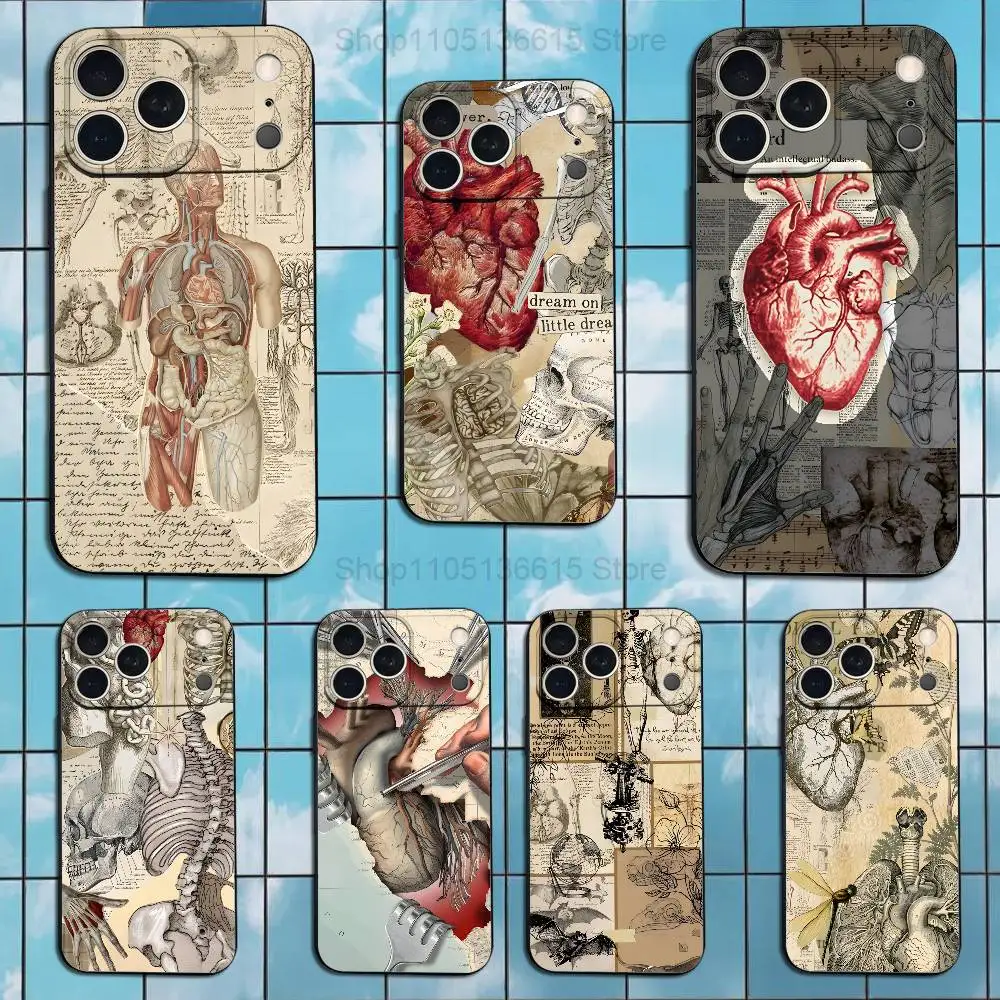 

Medical Human Art Anatomy Case For iPhone 17,16,15,14,13,12,11 Air,Plus,Pro Max,XS,X,XR,SE,Mini,8,7,Soft Silicone Black Cover