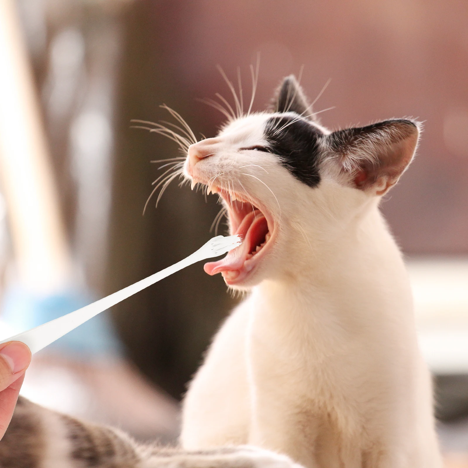 

2pcs Soft Bristle Toothbrush Puppy Supplies Oral Care Long Handle Dog Cat Teeth Pets Toothbrush Cleaning Tools
