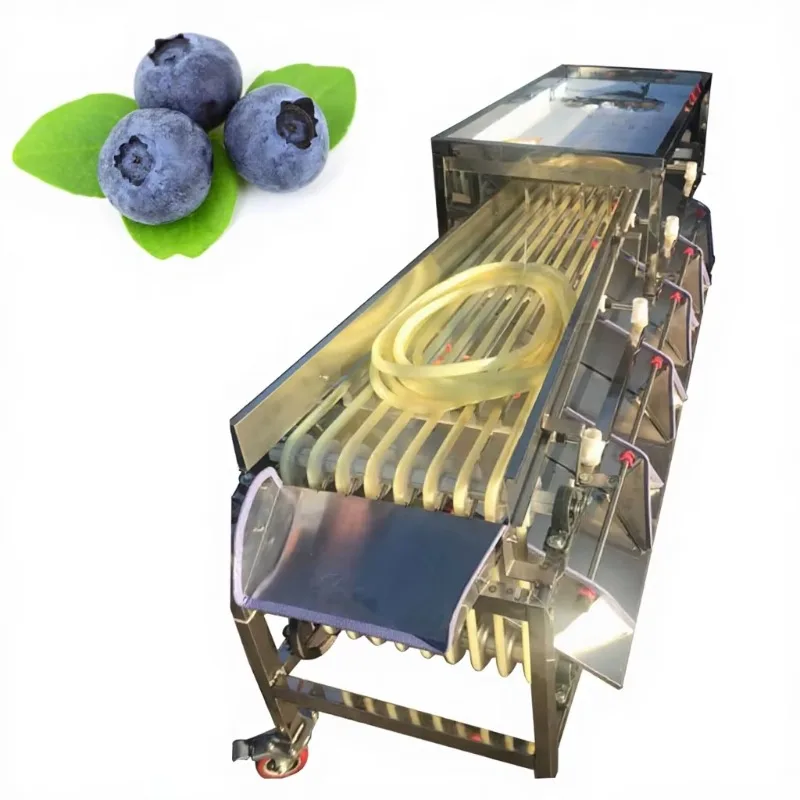 Automatic Vegetable Onion Potato Grading Dates Cucumbers Blueberry Onion Avocado Tomato Potato Apple Fruit Sorting Machine OME