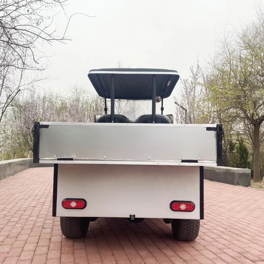 

60V/72V Lithium Battery Electric Mini Cargo Cart Adult Electric Scooter 2 Passenger Electric Golf Cart Free Custom Color