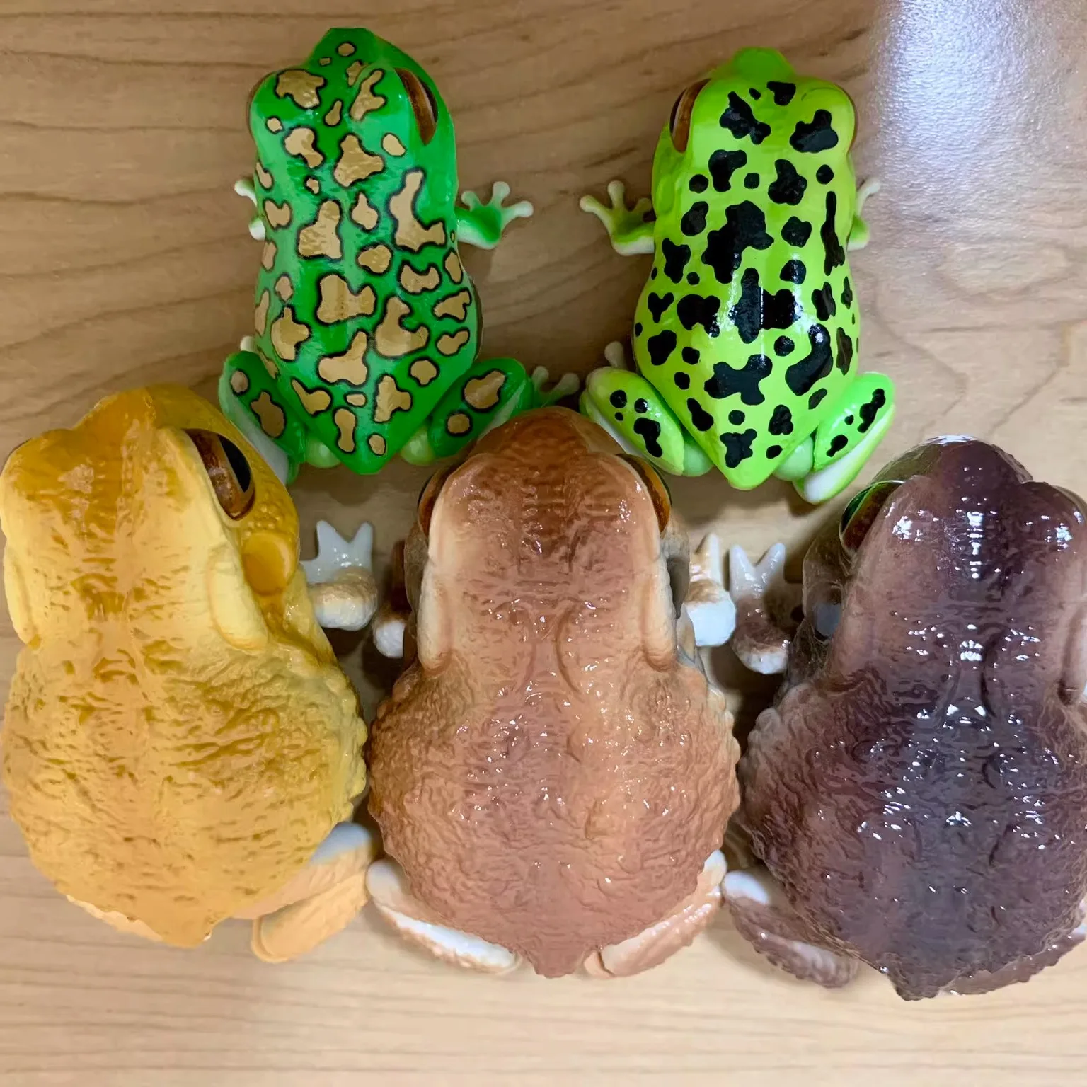 سلسلة بانداي غاشابون "موسوعة المخلق" - شخصيات العلجوم والضفدع قابلة للجمع، هدايا لعبة عرض برمائية قابلة للجمع