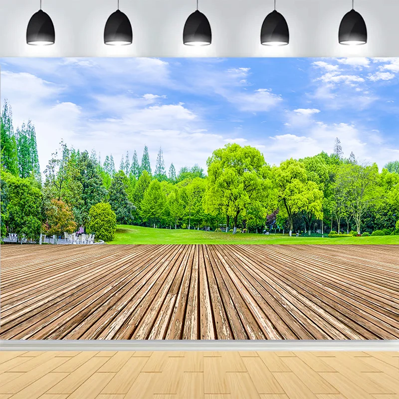 Fonds de photographie de paysage urbain paisible avec ciel bleu, herbe et jardin baigné de soleil matinal CG-02