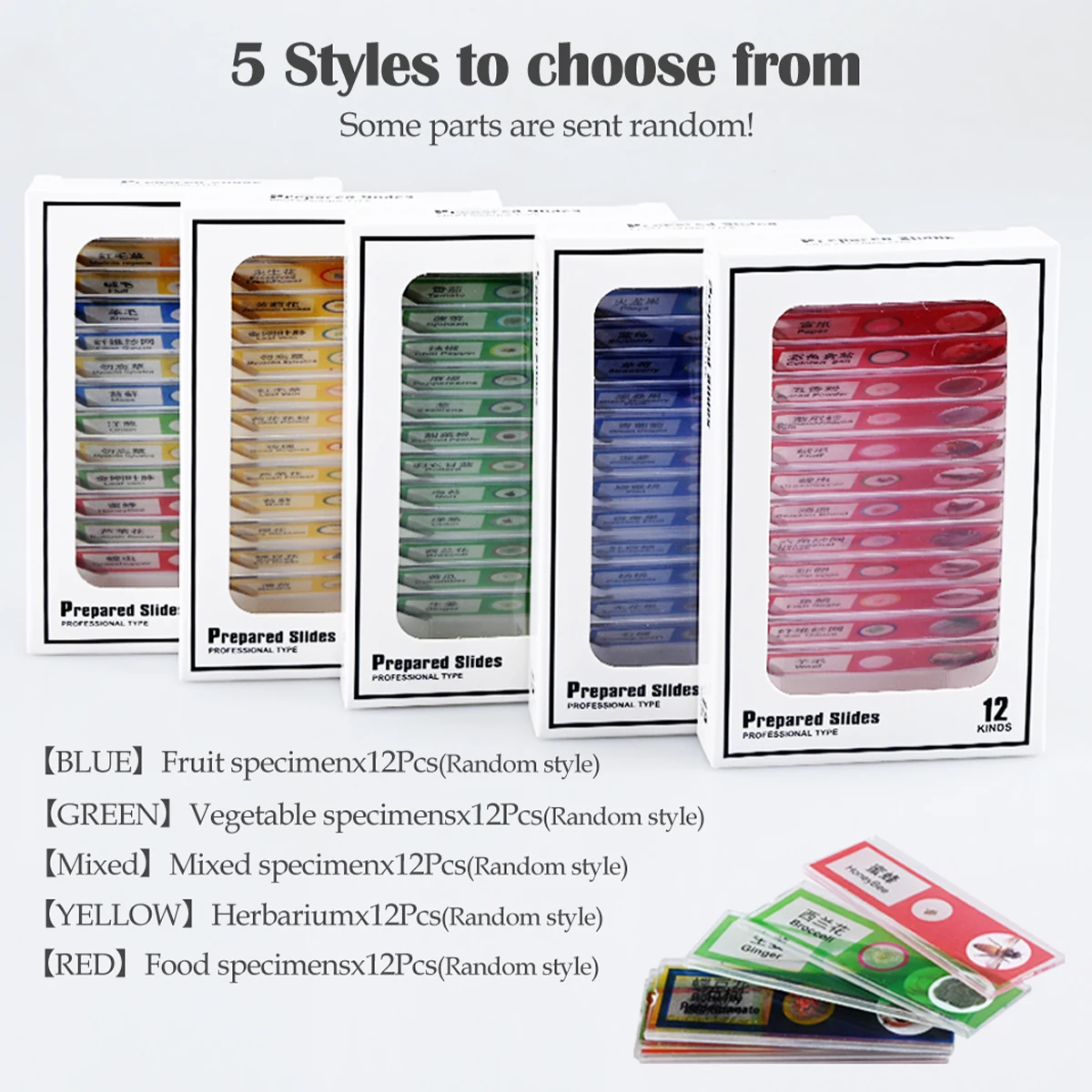 สไลด์กล้องจุลทรรศน์ 12 ชิ้น ตัวอย่างทางชีวภาพพลาสติก การศึกษาวิทยาศาสตร์ชีวภาพสําหรับกล้องจุลทรรศน์นักเรียน รูปแบบสุ่ม