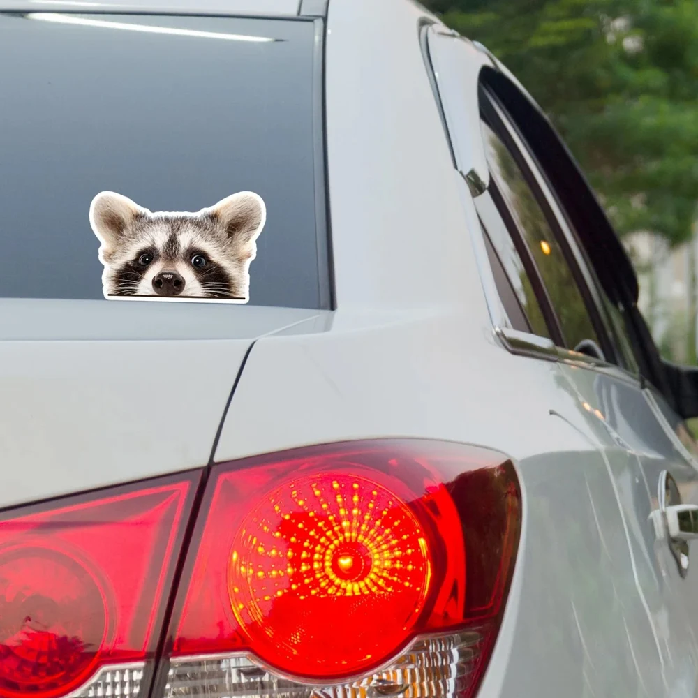 車の窓とリアのフロントガラス用のビニールステッカー,アライグマをのぞき見する,面白い車のステッカー,面白い動物の頭の顔の装飾,1個