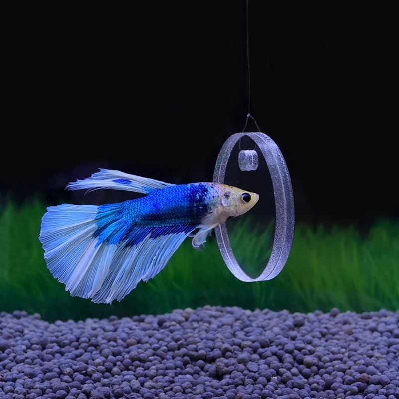 Round Betta Mirror Dia. 2-3 Inch For Betta Training Exercise Colorful Swollen