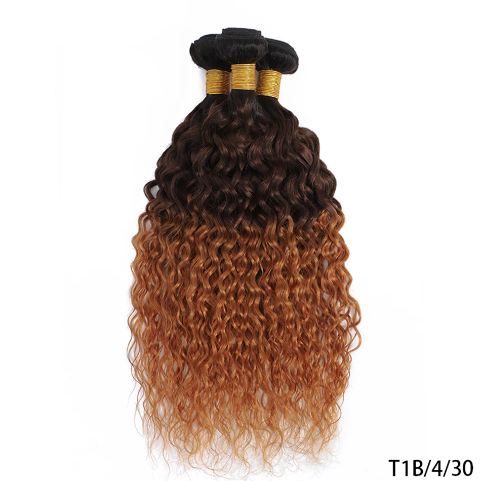 DreamDiana-Extensions de Cheveux Humains Ondulés Colorés, Cheveux Bouclés à l'Eau, Blond Ombré, Remy, T1B27, 100% Malaisien, 3 Bundles