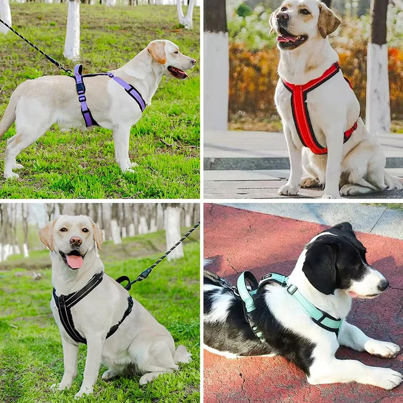Neues Haustier-Hundegeschirr, – No Pull Dog Harness Bewertung und Preis