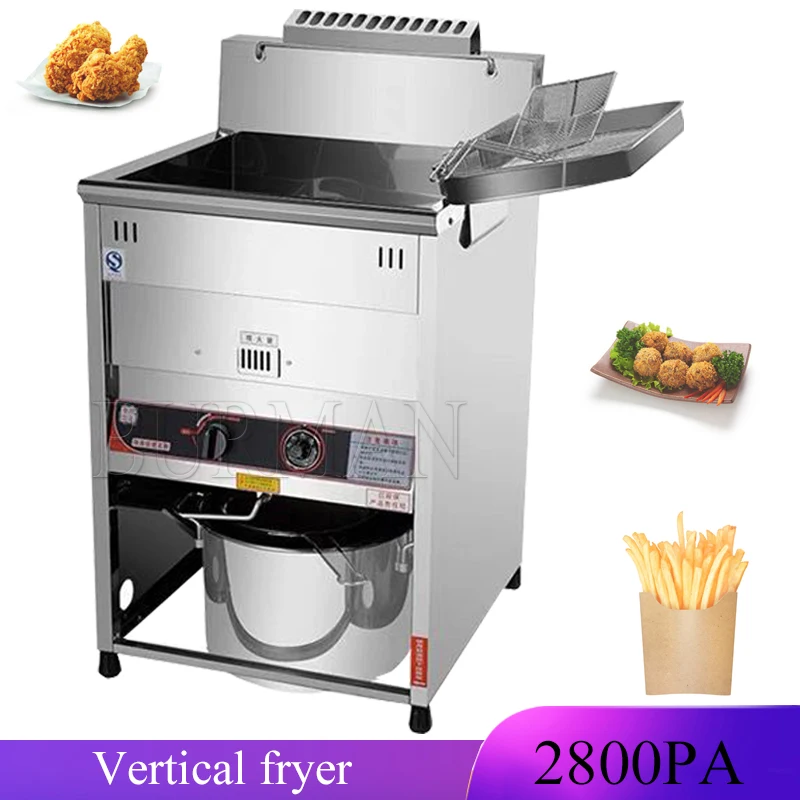 Commercial Vertical Liquefied Gas Electric Deep Fryer With Timing Blast Furnace 30L