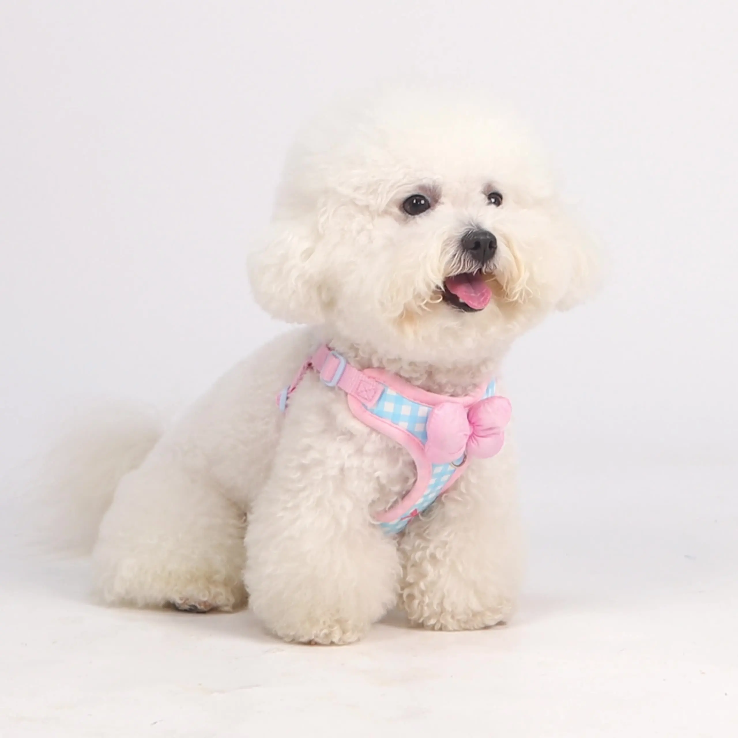 Thumbnail 4 - #75 Discounted Puppy Harnesses Worth Buying