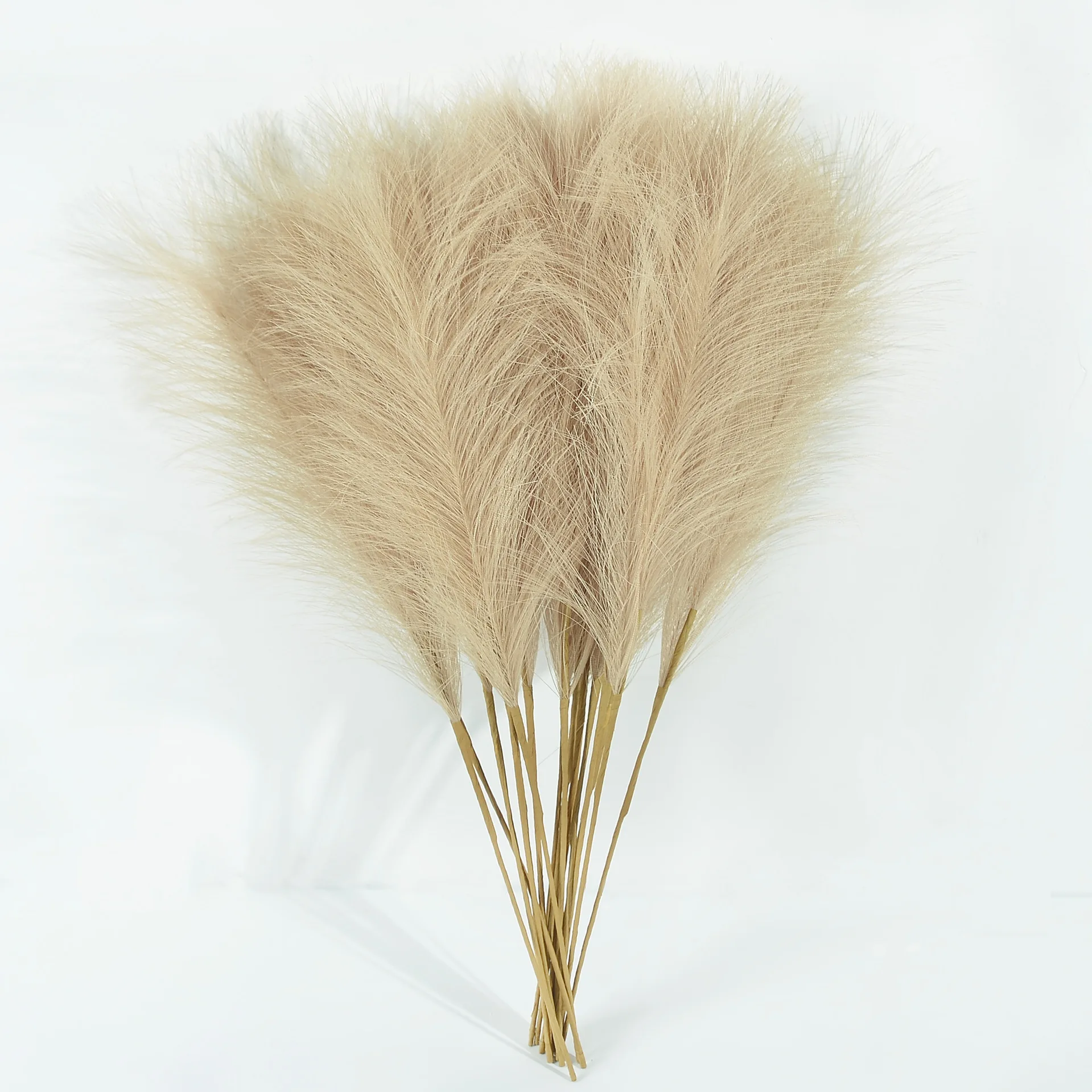 5 قطعة 2 شوكة 45 سنتيمتر الاصطناعي Pampas العشب باقة بوهو ديكور زهرة نبات صناعي القصب ل الجدول DIY بها بنفسك المنزل ديكور حفلات الزواج #1