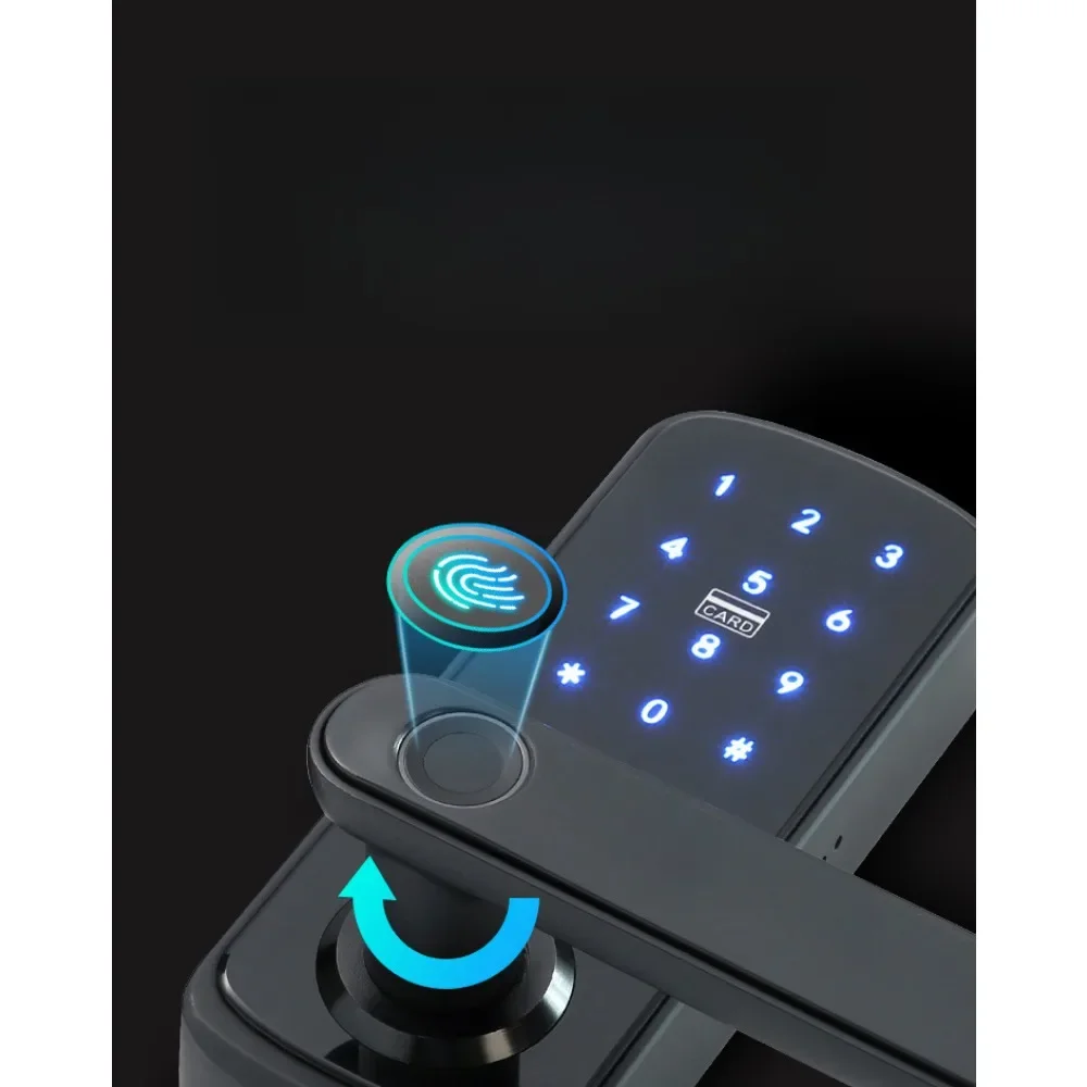 Graffiti WiFi Fingerabdruckschloss Home Apartment Remote Bluetooth Smart Lock Swipe Card Lock