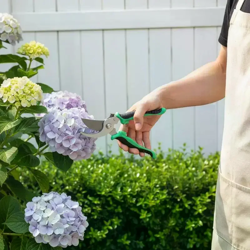 Gartenschere aus Edelstahl, Pf – Bonsai Garden Usa Bewertung und Preis
