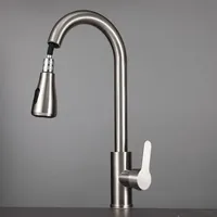 With Two 360 Swivel Pull-out Modes Single-lever Accessory Articulated Faucet Kitchen Sink Mixer Stainless Steel