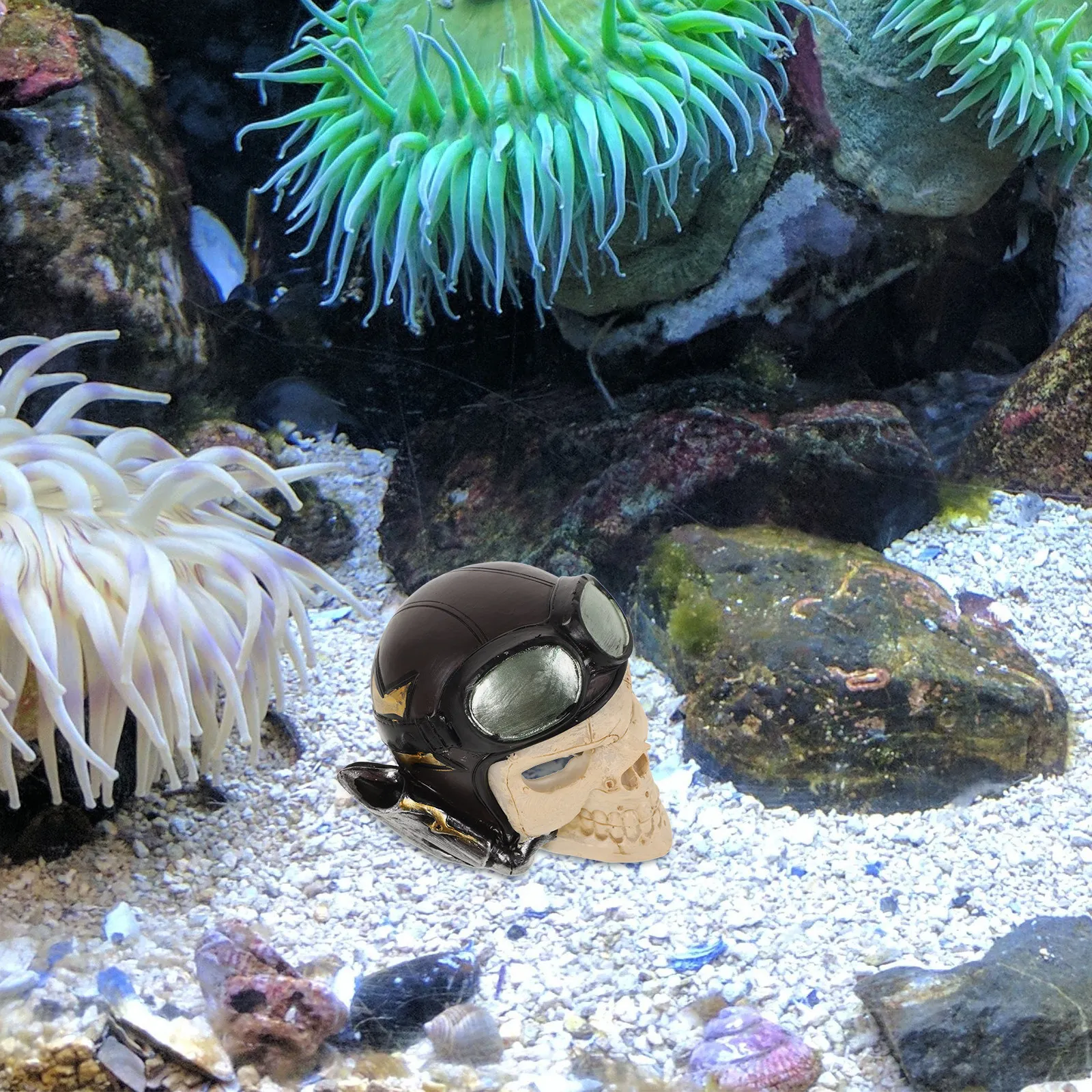 Skull Shaped Resin …