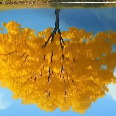 Factory Directly Je…