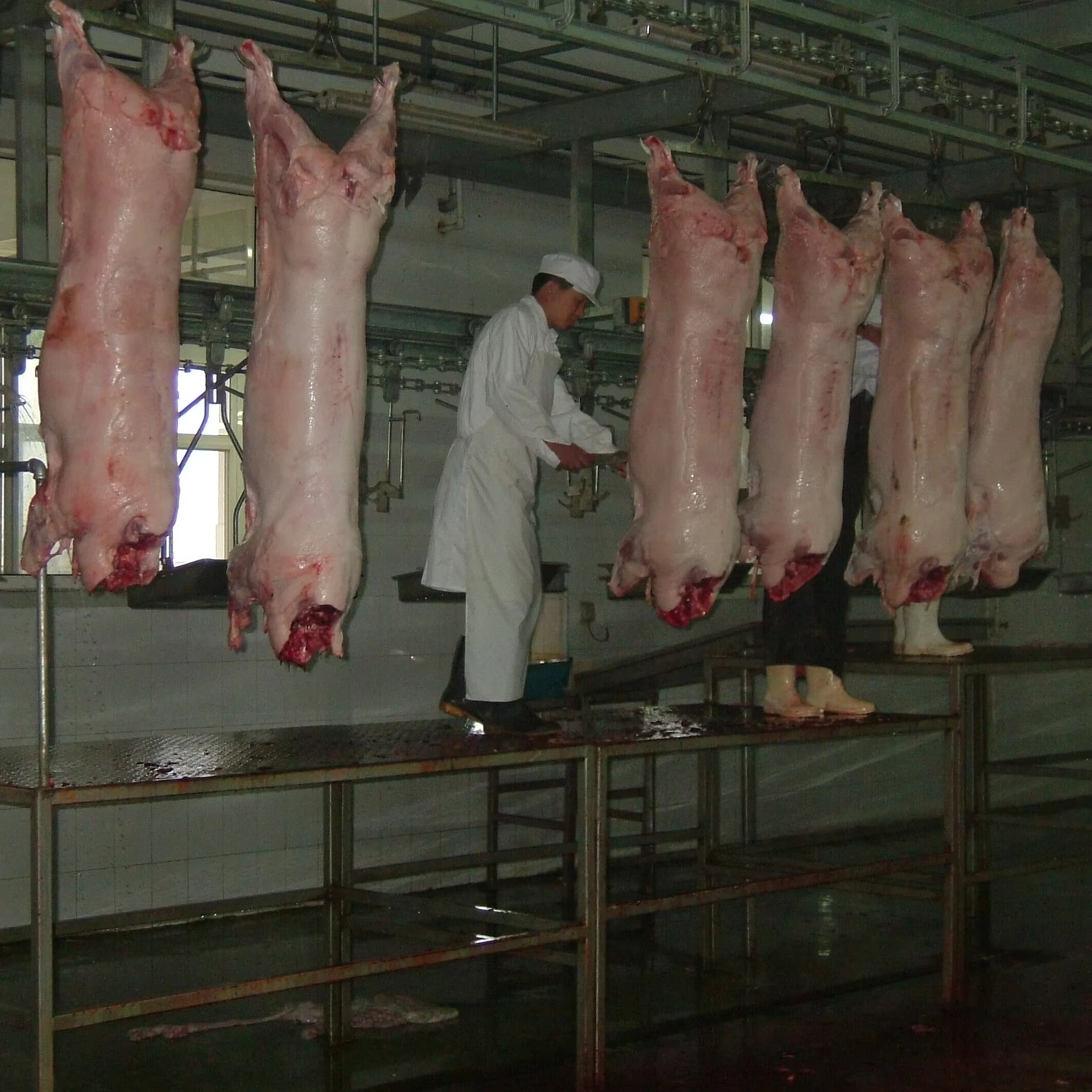 Caja de Cambios de Acero para Matadero, Línea de Producción de Mataderos, Equipo para Granjas Porcinas, Motor de Caja de Cambios para Carnicería