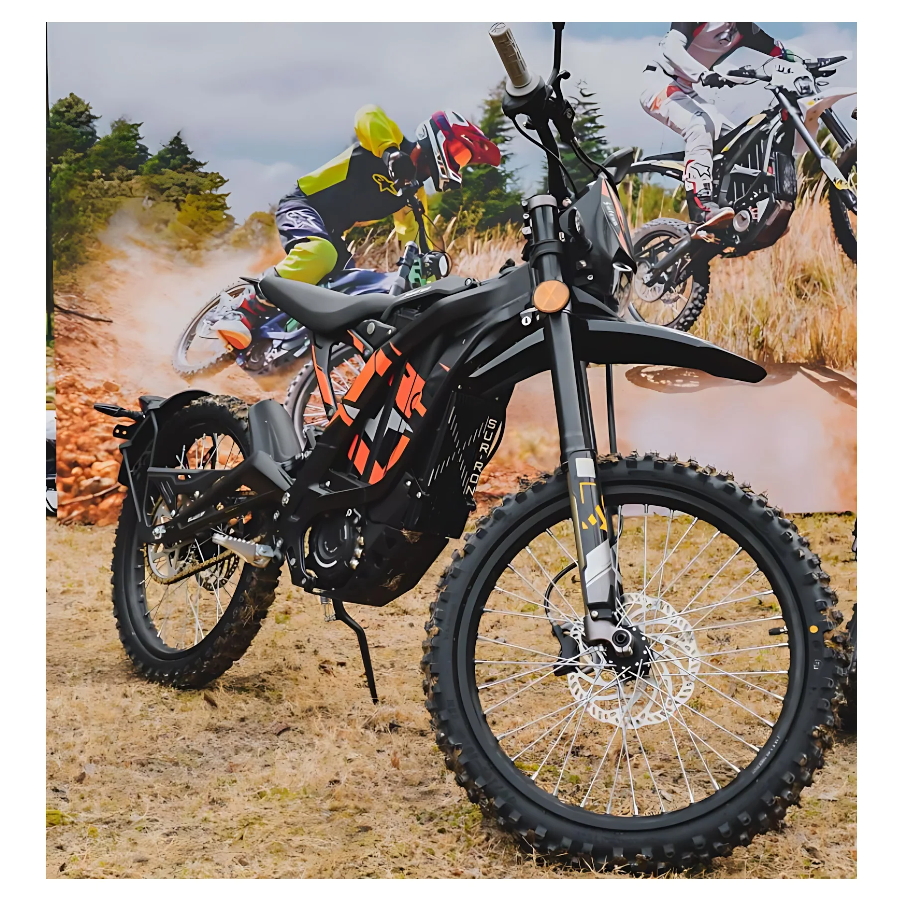 SXLL وصل حديثًا مستودع الاتحاد الأوروبي Ron L1e أضواء EV الكهربائية على الطرق الوعرة Bee X 2025 60V40Ah Youth Ebike للبيع