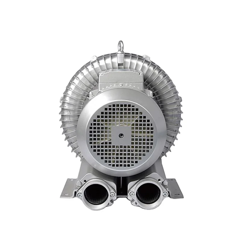 Dg-200-11 Electric AC Bug Blower Hong Kong Ex Proof Medium Pressure Forge Air Pump with OEM Support