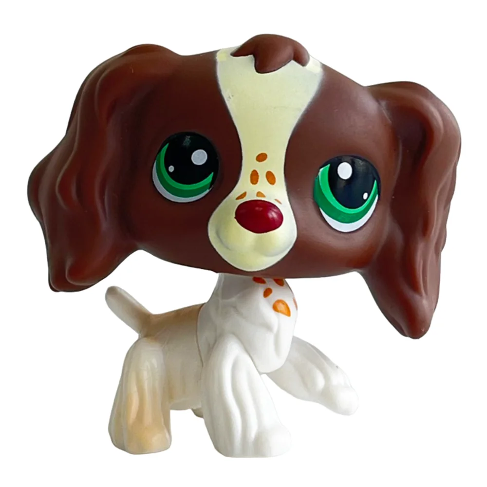 Jouet Pour Animal De Compagnie Animal De Compagnie Chat Petit Chien En