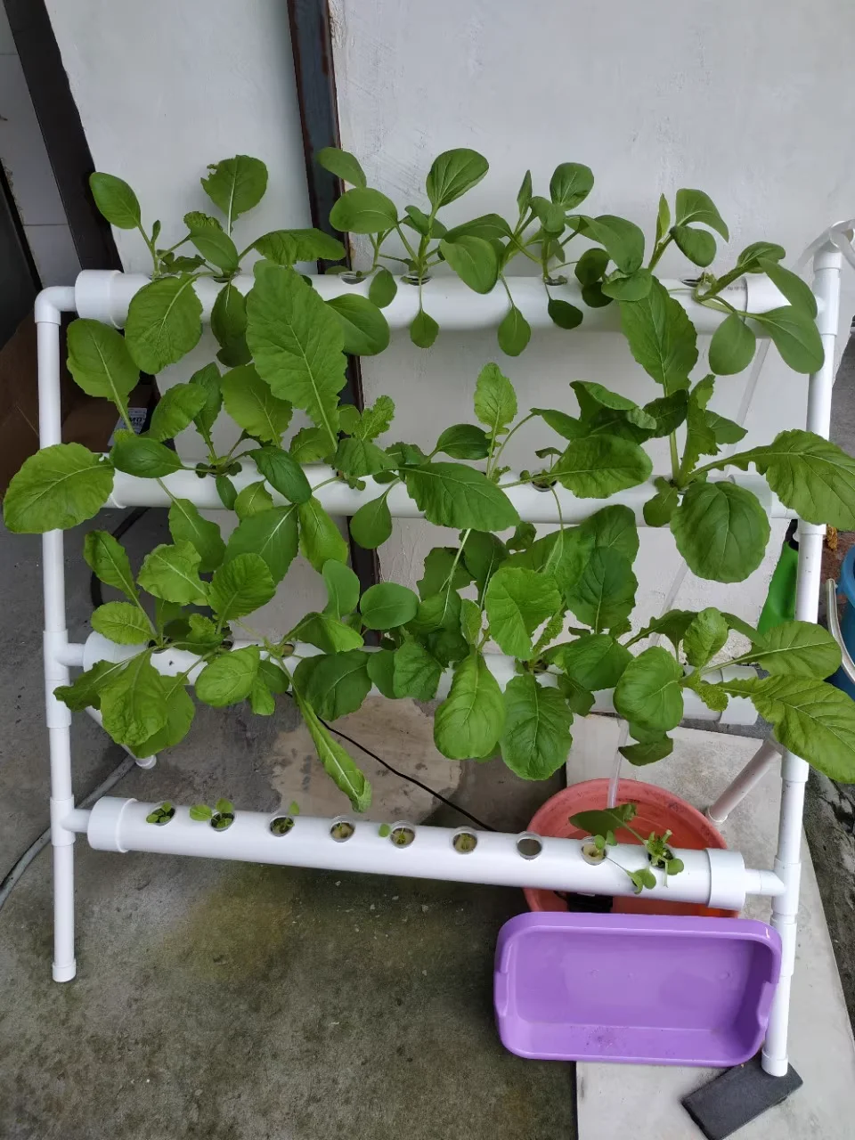 Instalasi Mudah 36 Lubang Salu - Hydroponic Nft Channel ulasan dan harga