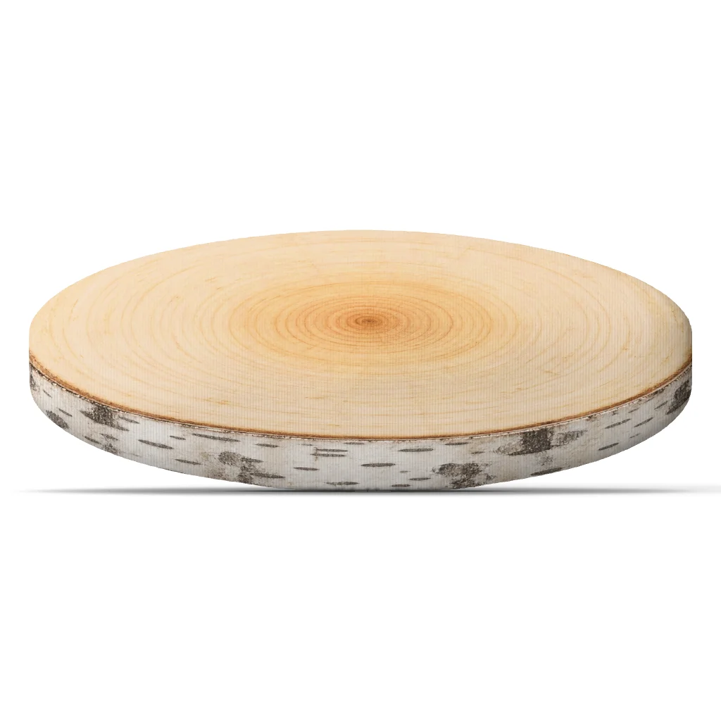 Birch Tree Ring Throw Pillow Rustic Woodland Log Slice Cushion Irregular Stuffed Decorative Pillow for Sofa Home Decor Accent