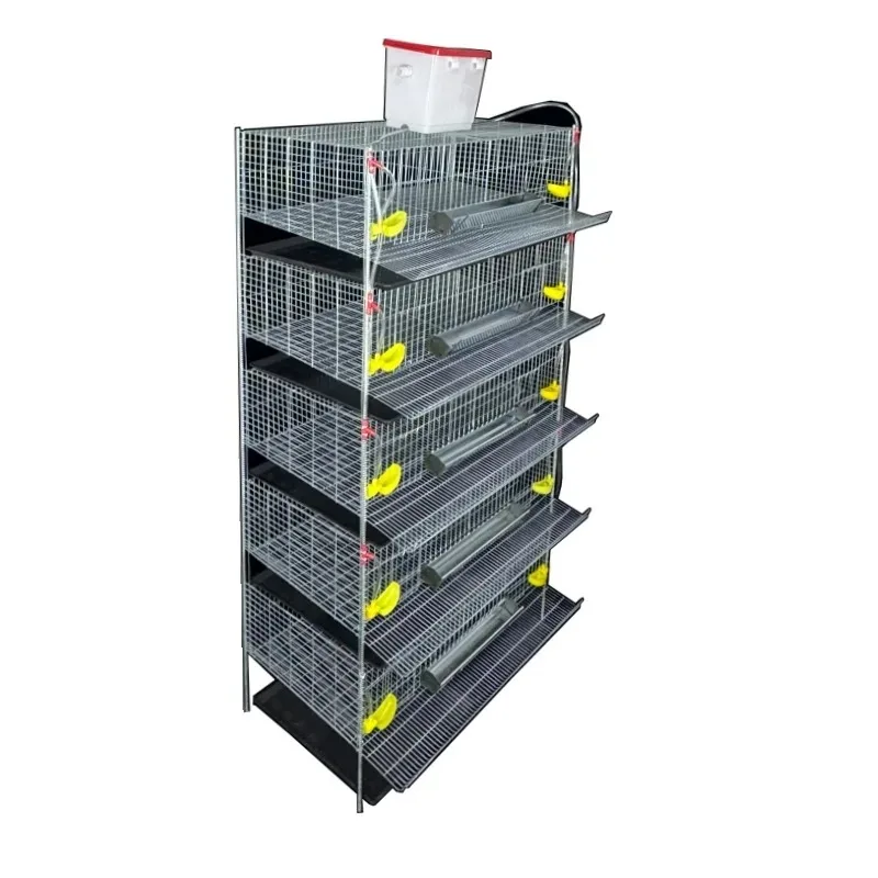 High Quality H Type Automatic Feeding Quail Cage Quail Cages for Egg Production Layer Breeding Bird Cage